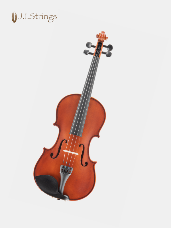 Buy out this Violin